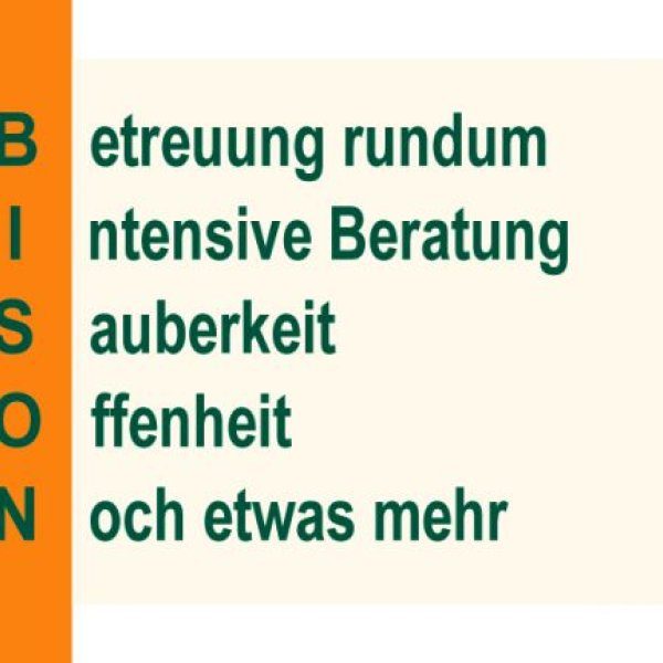 BISON HANDWERKER Systemzentrale GmbH: Die neue Art zu modernisieren
