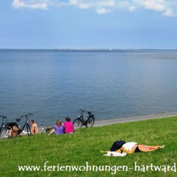 Ferienwohnungen Hartward-Neuharlingersiel: 